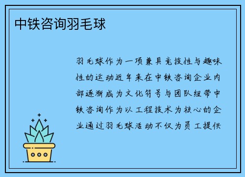 中铁咨询羽毛球
