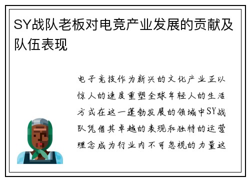 SY战队老板对电竞产业发展的贡献及队伍表现